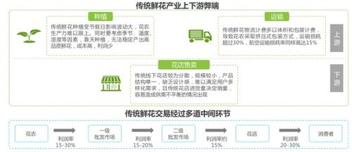 花花世界 從“禮品花”到“日?；ā?，看鮮花零售業的華麗轉身